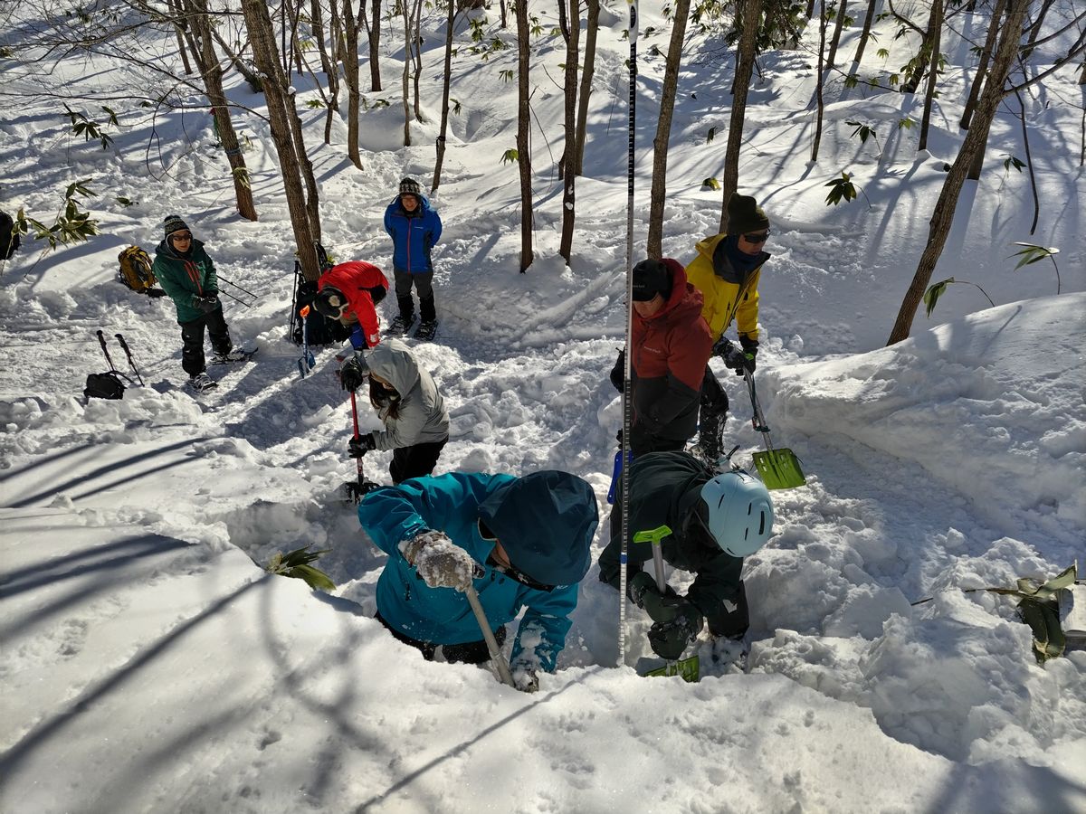 雪崩対策訓練の様子