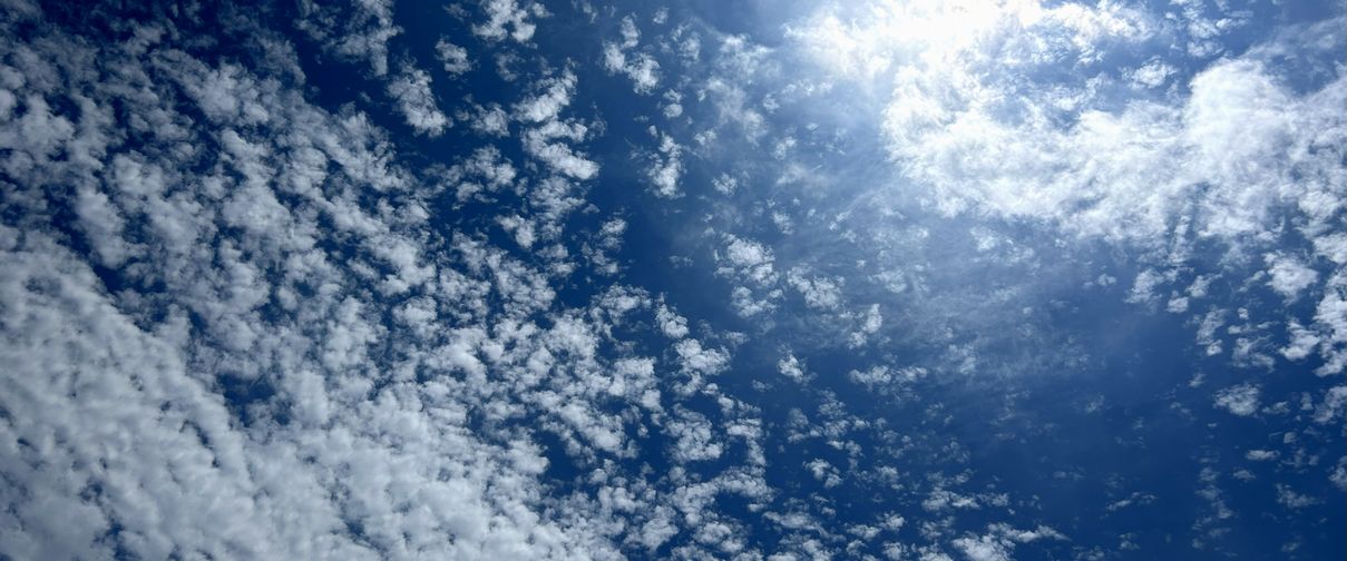 気象随筆雲見の蛙のイメージ