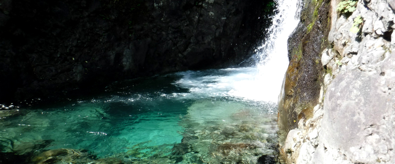 札幌の50沢のイメージ